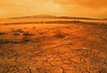 Il 27 settembre i COBAS scioperano insieme con Fridays for future