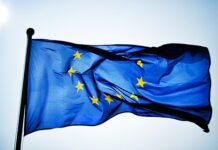 ON THE EUROPEAN ELECTIONS