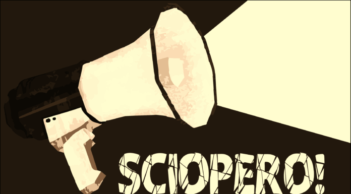 La piattaforma COBAS per lo sciopero nella Scuola, all’interno dello sciopero generale della Confederazione COBAS del 28 novembre